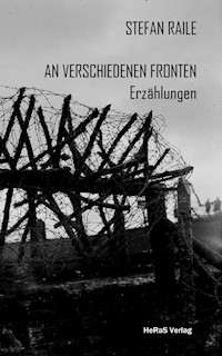 An verschiedenen Fronten - Stefan Raile - E-Book