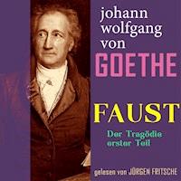 Johann Wolfgang von Goethe: Faust. Der Tragödie erster Teil - Johann Wolfgang von Goethe - Hörbuch