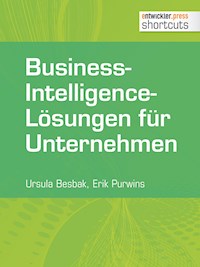 Business-Intelligence-Lösungen für Unternehmen - Erik Purwins - E-Book