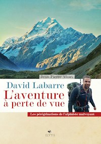 David Labarre - L'aventure à perte de vue - Jean-Pierre Alaux - E-Book