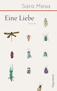 Eine Liebe - Sara Mesa - E-Book