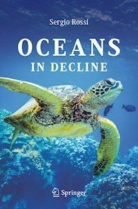 Oceans in Decline - Sergio Rossi - E-Book