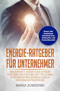 Energie-Ratgeber für Unternehmer - Maria Zuwovski - E-Book