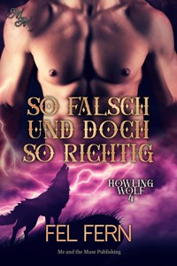 So falsch und doch so richtig - Fel Fern - E-Book