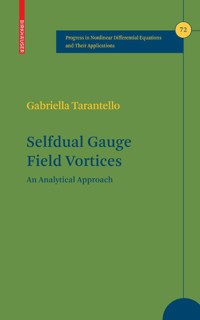Selfdual Gauge Field Vortices - Gabriella Tarantello - E-Book