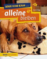 Jeder Hund kann alleine bleiben - Katrin Voigt - E-Book