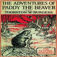 The Adventures of Paddy the Beaver - Thornton W. Burgess - Hörbuch