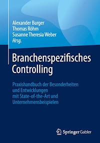 Branchenspezifisches Controlling - - E-Book