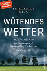 Wütendes Wetter - Friederike Otto - E-Book