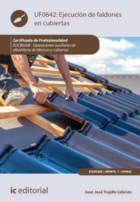 Ejecución de faldones en cubiertas. EOCB0208 - Juan José Trujillo Cebrián - E-Book