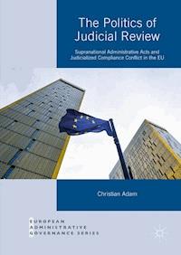 The Politics of Judicial Review - Christian Adam - E-Book