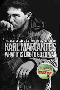 What It Is Like To Go To War - Karl Marlantes - E-Book