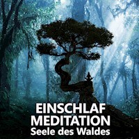 Einschlafmeditation | Seele des Waldes - Raphael Kempermann - Hörbuch