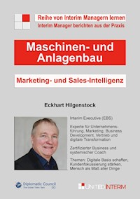 Marketing-und Sales-Intelligenz im Maschinen- und Anlagenbau - Eckhart Hilgenstock - E-Book