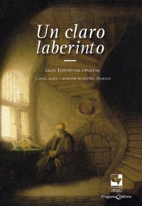 Un claro laberinto - Lelio Fernández Druetta - E-Book