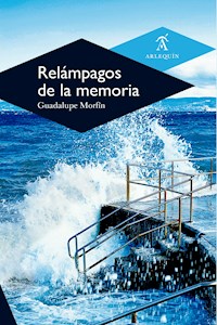 Relámpagos de la memoria - Guadalupe Morfín - E-Book