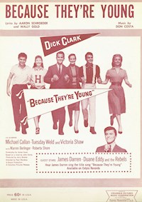 Because They're Young - Don Costa - E-Book