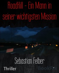 RoadKill - Ein Mann in seiner wichtigsten Mission - Sebastian Felber - E-Book