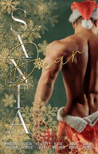 Dear Santa - Margaux Navara - E-Book