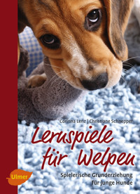Lernspiele für Welpen - Corinna Lenz - E-Book