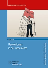 Revolutionen in der Geschichte - Eva Wolff - E-Book