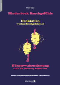 Sündenbock Bauchgefühle - Mario Spiz - E-Book
