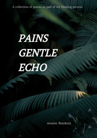 Pains gentle echo - wouter bouduin - E-Book