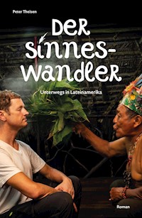 Der Sinneswandler - Peter Theisen - E-Book
