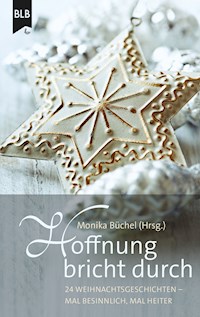 Hoffnung bricht durch - Anneli Klipphahn - E-Book