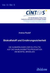 Biokraftstoffpolitik und Ernährungssicherheit - Andrea Rudolf - E-Book