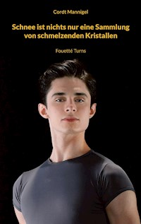 Schnee ist nichts nur eine Sammlung von schmelzenden Kristallen - Cordt Mannigel - E-Book