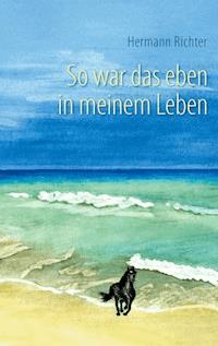 So war das eben in meinem Leben - Hermann Richter - E-Book