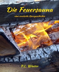 Die Feuersauna - P.L. Winter - E-Book