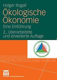 Ökologische Ökonomie - Holger Rogall - E-Book