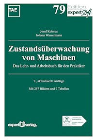 Zustandsüberwachung von Maschinen - Josef Kolerus - E-Book