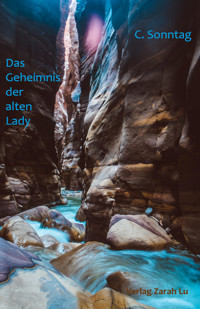Das Geheimnis der alten Lady - C. Sonntag - E-Book