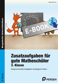 Zusatzaufgaben für gute Matheschüler 3. Klasse - Ralph Birkholz - E-Book