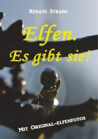 Elfen. Es gibt sie! - Renate Strang - E-Book