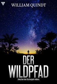 Zwischen den Dschungeln Indiens - William Quindt - E-Book
