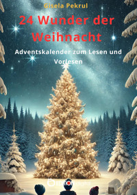 24 Wunder der Weihnacht - Gisela Pekrul - E-Book