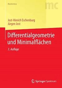 Differentialgeometrie und Minimalflächen - Jost-Hinrich Eschenburg - E-Book