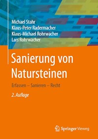 Sanierung von Natursteinen - Michael Stahr - E-Book