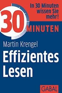 30 Minuten Effizientes Lesen - Martin Krengel - E-Book