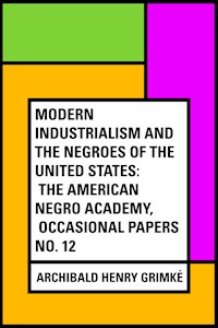 Modern Industrialism and the Negroes of the United States: The American Negro Academy, Occasional Papers No. 12 - Archibald Henry Grimké - E-Book