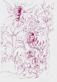 Fremde Landschaften - Alexandra Caragata - E-Book