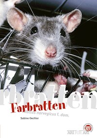 Farbratten - Sabine Oechler - E-Book