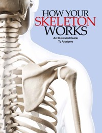 How Your Skeleton Works - Peter Abrahams - E-Book
