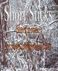 Short Sticks - Bob Ric - E-Book
