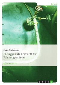 Flüssiggas als Kraftstoff für Fahrzeugantriebe - Sven Geitmann - E-Book