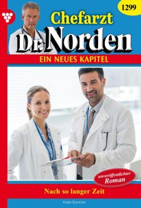 Nach so langer Zeit - Katie Summer - E-Book